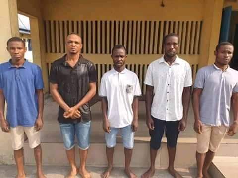 POLICE ARREST 5 FOR MULTIPLE ABDUCTION, CAR THEFT AND ABUSE OF WOMEN, 2 OTHERS FOR INT’L CHILD PORNOGRAPHY.